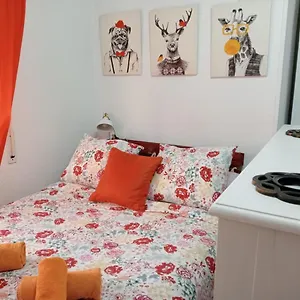 Apartamento Con Encanto 'larios Studio' Apartamento